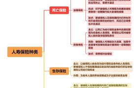 人身保险种类繁多，如何选择适合自己的？