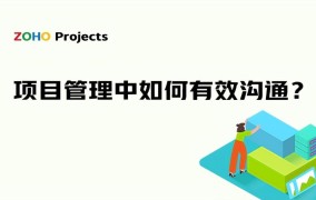 管理实务中有哪些实用技巧？如何提高效率？