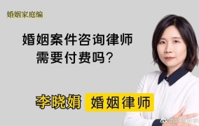 婚姻家事律师咨询费用大概多少？咨询什么内容？