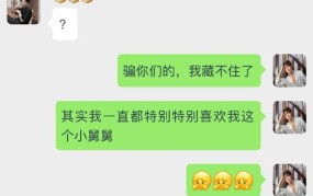 姐姐做吗？探讨家庭角色与个人选择的关系