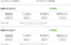深圳社保查询个人账户：便捷操作指南