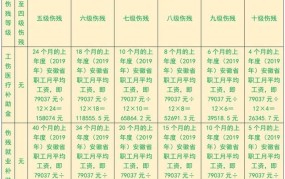 事故皮外伤赔偿标准是多少？如何计算赔偿金额？