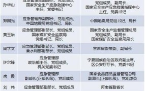 国家安全领导机构的职权范围包括哪些方面？如何运作？