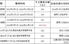 2024年农村医保缴费标准是多少元呢怎么查询不到呢