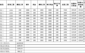 事业单位第十三个月工资发放依据是什么意思啊