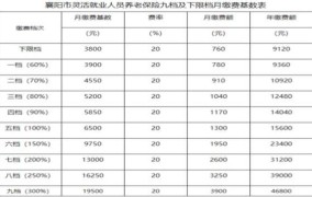 2024年农村社保缴费标准是多少钱一个月呢怎么算的