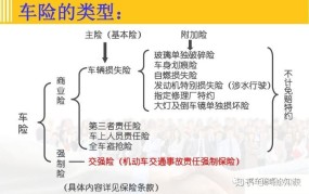 车子保险怎么选择？有哪些性价比高的险种？