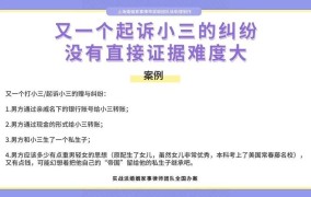 如何处理与小三的纠纷？有哪些法律途径？