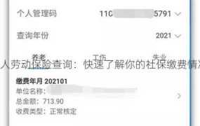 个人劳动保险怎么查询？有哪些信息需要了解？