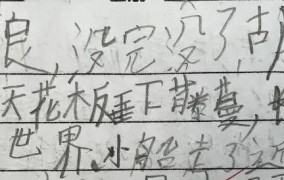 我破了一个小学生记录，怎么办？如何处理？