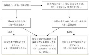 国有独资和国有控股的区别在哪里？如何界定？