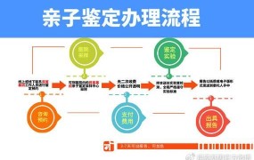 亲子鉴定费用是多少？怎样进行鉴定？