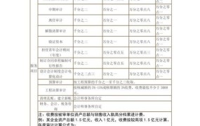 司法审计收费标准2024最新被告提出司法审计建议