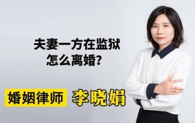 离婚案件咨询时应提供哪些信息？如何选择律师？