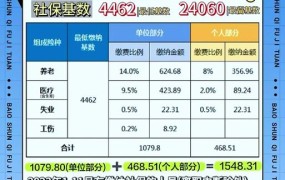 2024年社保缴费基数和数额有何变化？如何计算个人缴费？