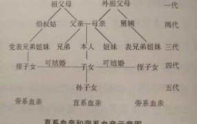 直系亲属范围如何界定？在法律上有何意义？