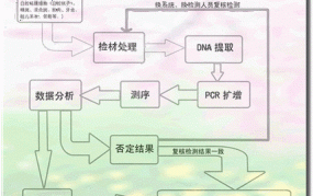 DNA亲子鉴定价格是多少？鉴定流程是怎样的？