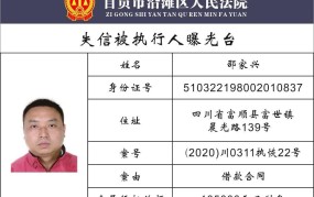 如何通过法院执行网查询被执行人信息？有哪些步骤？