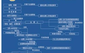 交警大队处理事故流程需要带什么东西去车管所