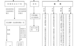 轻伤一级公安局办案流程图最新规定是什么意思