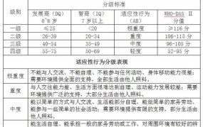 精神残疾人等级划分标准最新版本是什么意思啊