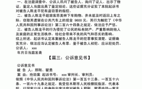 公诉意见书是什么？在刑事诉讼中有什么作用？