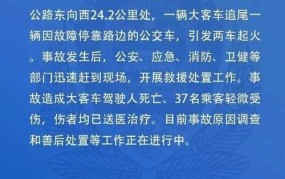 交通法车祸责任认定标准最新版2024年度报告