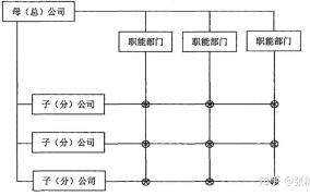 控股子公司的管理和运营有哪些特点？如何做好管控？