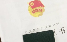 入团志愿书抄袭的后果有哪些？如何避免？