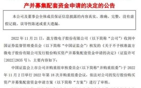 公司被收购后原股东如何处理？有哪些权益？