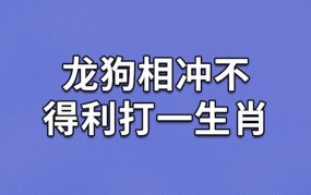 言谈举止打一正确动物属相.标准解释落实