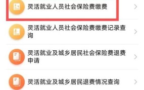 个人自己缴纳社保流程是怎样的？需要注意什么？