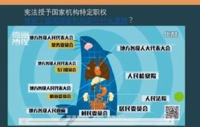 我国国家机关活动基本原则是什么？具体包含哪些内容？