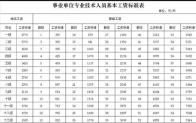 事业编制工资标准表2024年查询结果是什么意思啊