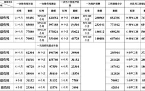 深圳9级工伤赔偿标准一览表社保基数为2360元