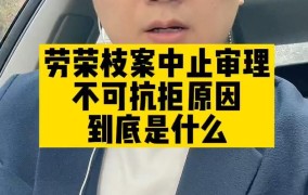 不可抗拒原因中止审理是什么意思？在法律上如何解释？