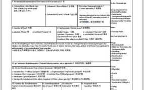 荷兰签证申请流程是怎样的？需要哪些材料？