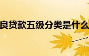 贷款逾期30天为何划分为五级分类？具体标准是什么？