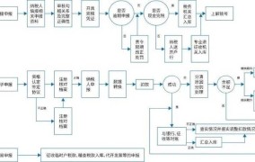 个体工商户营业执照报税流程是怎样的？有哪些要点？