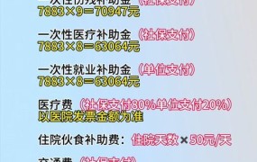 上海市九级工伤赔偿标准2024有多少钱呢