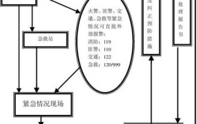 浦东机场如何启动应急响应机制？其流程有哪些？