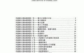 审计标准种类有哪些？具体内容包括啥