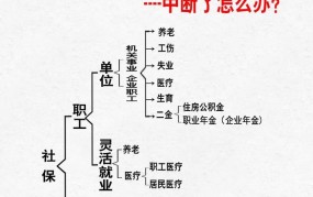 社会经济权利包括哪些内容？如何保障？