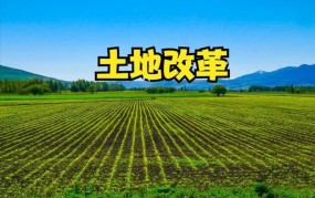 农村承包地将重新分配？对此政策有哪些疑问？