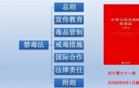 禁毒法第十三条具体规定了什么？