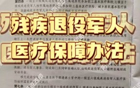 视力残疾一级补助标准杭州最新政策是什么意思