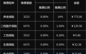 深圳社保最低缴费标准2024年 公司在职