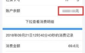 社保和医保区别是什么意思啊怎么查询缴费记录