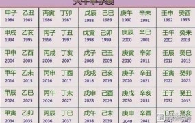 2024最新年龄划分标准是怎样的？有何变化？