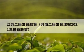 单独二胎政策放宽，有哪些条件需要满足？